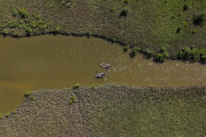 2-Hour Glass Bottom Guided Eco Tour in Flagler County-Small-group - Expert Guidance from Knowledgeable Tour Guides