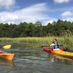 2-Hour Guided Kayak Eco Tour in Charleston - Navigating the Estuarine Ecosystems Behind Folly Beach