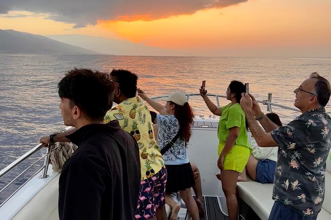 2 hour Lahaina Sunrise Whale Watch - Experience the Calm of Early Morning Waters