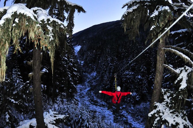 2 Hour Late Afternoon Winter Zipline Adventure - The Experience: Zipping Through a Winter Forest at Dusk
