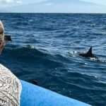 2 Hour Maui Dolphin Watch Sightsee Raft Tour (Semi-Private) - Starting Point and Meeting Logistics in Lahaina
