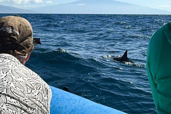 2 Hour Maui Dolphin Watch Sightsee Raft Tour (Semi-Private) - Starting Point and Meeting Logistics in Lahaina