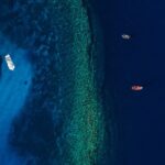 2-Hour Molokini Snorkel Trip - Inside the Crater: What You Can Expect to See