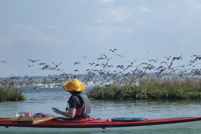 2 Hour Night Kayak Tour in Venice, premium experience with sunset - Starting Point at Calle Tornielli in Venice