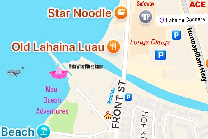 2 Hour Prime Time Maui Whale Watching - The Experience of Whale Watching in Maui’s Marine Sanctuary