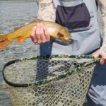 2 Hour Private Guided Walk Wade Fishing at Jackson Hole - Scenic Fishing in Grand Teton National Park