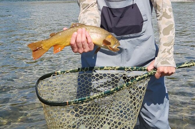 2 Hour Private Guided Walk Wade Fishing at Jackson Hole - Scenic Fishing in Grand Teton National Park