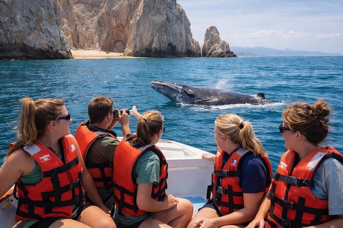 2-Hour Shore Excursion | Arch, Lovers Beach & Whale Encounters - Whale Watching in Cabos Seasonal Waters