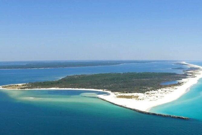 2 Hour Snorkeling and Dolphin Tour - Discover Shell Island’s Pristine Beaches and Marine Life