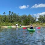 2 Hour Tandem Kayak Tour (Price for 2 People) - Navigating the Mangroves and Learning about the Ecosystem
