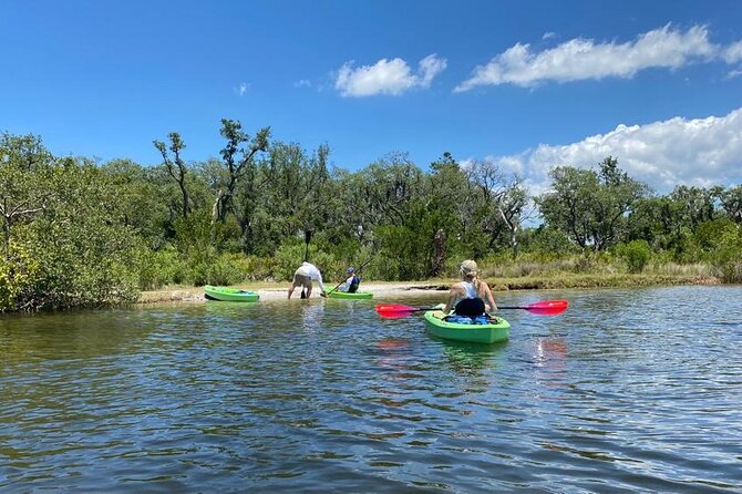 2 Hour Tandem Kayak Tour (Price for 2 People) - Navigating the Mangroves and Learning about the Ecosystem