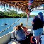 2 Hour Tiki Dolphin Sightseeing Tour in Cocoa Beach - Encounter Playful Dolphins in Calm Waters