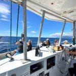 2 Hour Waikiki Whale Watching Cruise from Oahu - The Underwater Viewing Room and Decks for the Best Views