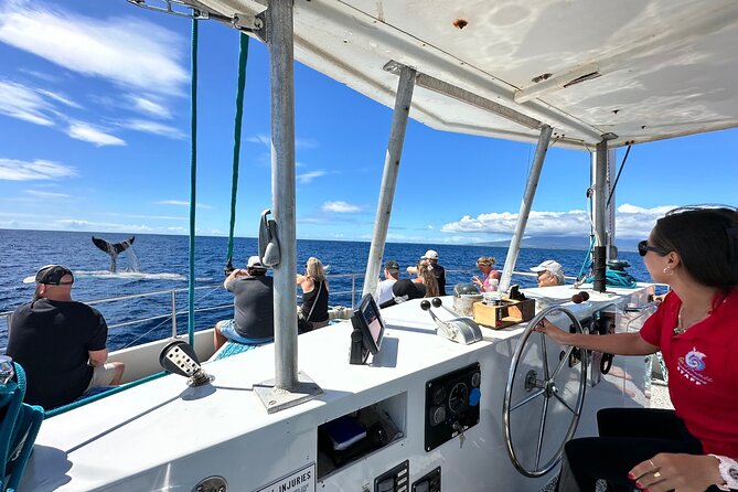 2 Hour Waikiki Whale Watching Cruise from Oahu - The Underwater Viewing Room and Decks for the Best Views