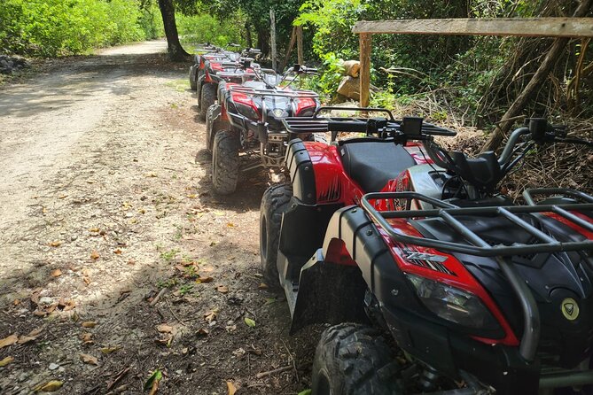 2 Hours ATV Jungle, Caverns and Mayan Ruins Tour - Exploring Rancho Buenavista and the Surrounding Nature