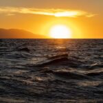 2 Hours Catamaran Sunset Tour - Practical Details: Meeting Point and Timing