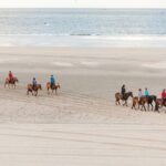 2 hours Horse Riding Excursion near the Beach in Alcúdia bay - Horses and Riding Levels Tailored to You