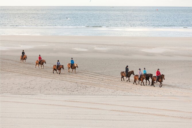 2 hours Horse Riding Excursion near the Beach in Alcúdia bay - Horses and Riding Levels Tailored to You