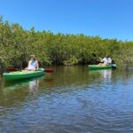 2 Hours Kayak Eco Tour in Tarpon Springs - The Historic Sponge Docks and Local Charm
