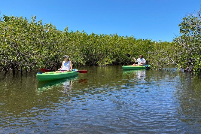 2 Hours Kayak Eco Tour in Tarpon Springs - The Historic Sponge Docks and Local Charm