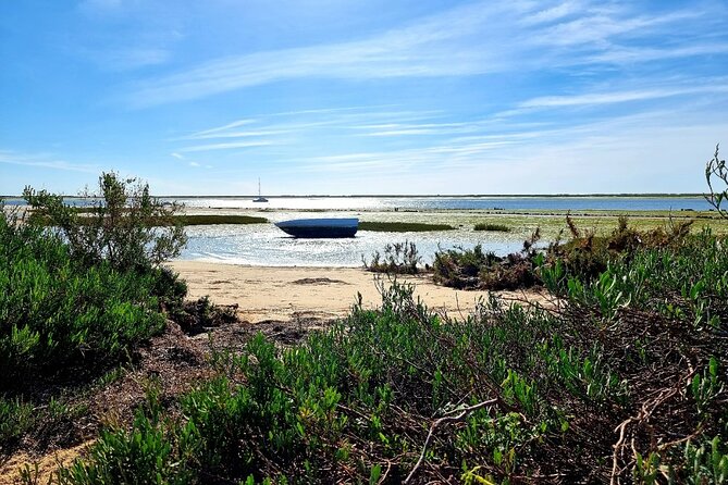 2 Hours Kayak Island Tour in the Natural Park of Ria Formosa - Easy Access and Convenient Meeting Point at Praia dos Cavacos
