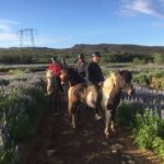 2 hours Private Horse Riding to Lake Hafravatn, Reykjavík - Mos - Meeting at the Small Family Farm Close to Mosfellsbær