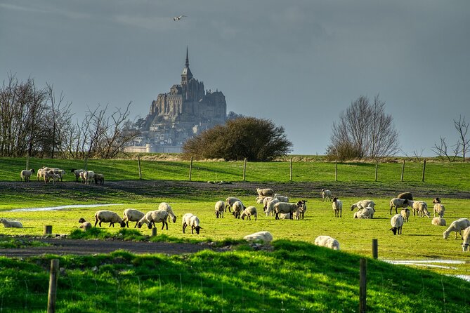 2 Hours Private Walking Tour of Mont Saint Michel - The Tour’s Starting Point at Porte de l’avancée