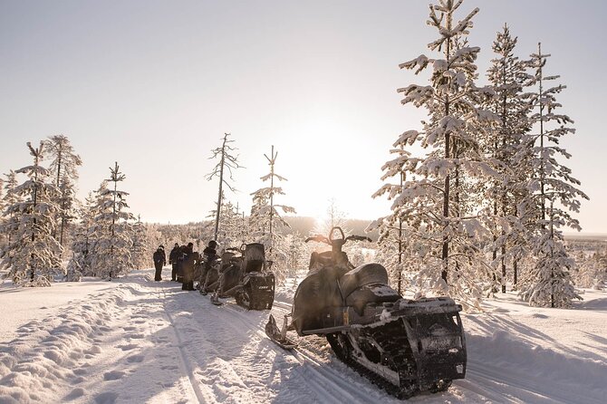 2 Hours Snowmobile Safari to the Levi Nature - The Scenic Route: Lakes, Forests, and Swamps