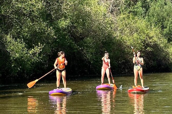 2 Hours SUP Activity on Arda River - Regional Products and Post-Paddle Relaxation