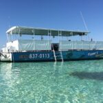 2-Stop Snorkeling and Dolphin Cruise from Destin - Snorkeling at Destin Jetty and Coast Guard Flats