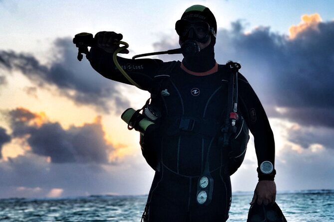 2 Tank Dive (for certified divers) - The Logistics of the Costa Maya 2 Tank Dive