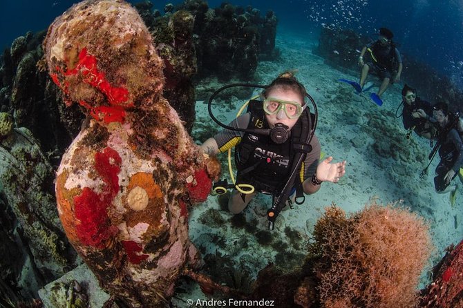 2 Tank Dives MUSA and Manchones reef (Certified divers) - Starting the Morning with a Seamless Meeting at Squalo Adventures