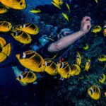 2 Tank Lanai Cathedral Scuba Dive Via Boat for Certified Divers - Early Morning Departures for Prime Wildlife Viewing