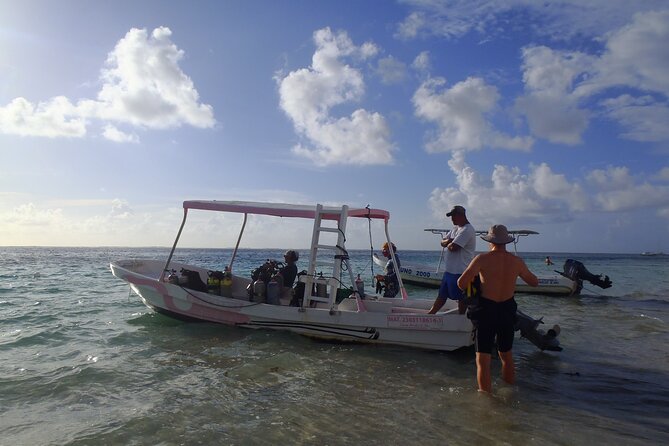2 Tank Reef Dive in Mexico - Flexible Scheduling for Your Reef Exploration: Morning or Afternoon