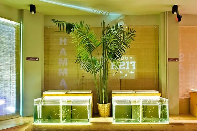 20-Minutes Natural Pedicure with Exotic Fish - Discover the Unique 20-Minutes Natural Pedicure with Exotic Fish in Athens