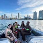 26 Ft Boat, Miami Bay Tour for 2 or 4 hours. 10 people - Departure Location and Accessibility in Miami