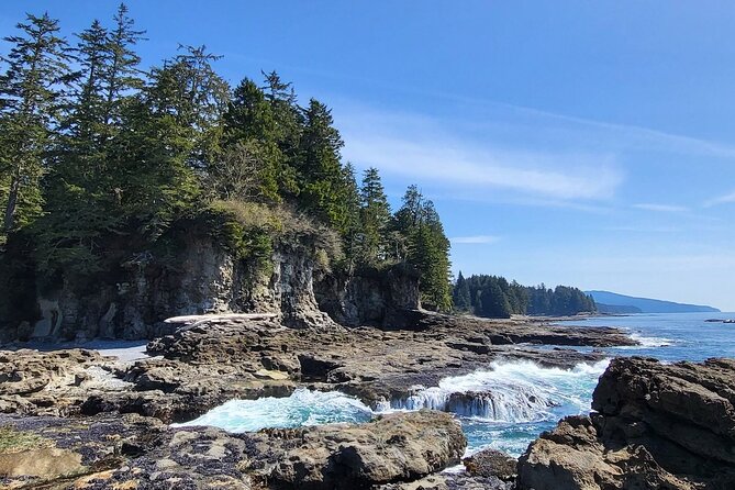 2Day Adventure with Beaches Rainforest Cabin on Vancouver Island - Comfortable Accommodation and Mealtimes