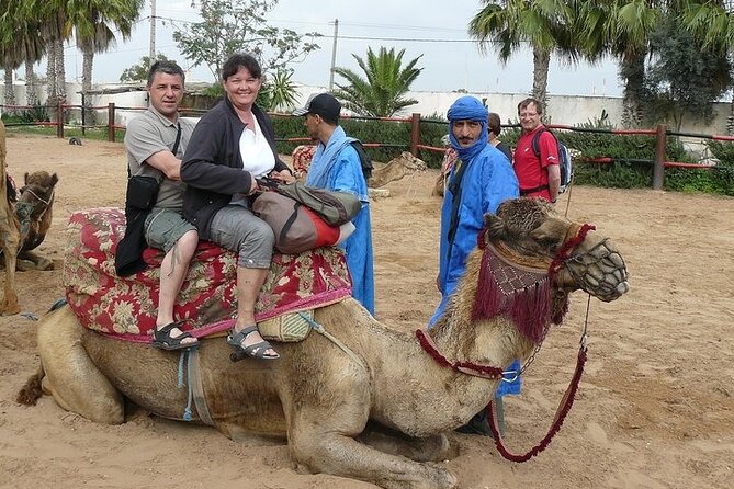 2Hours DE Quad + Comedy EN Tour and Crocoparc Tour - Exploring the Agafay Landscape and Argan Forests