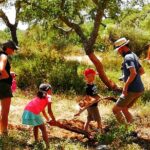 2hr Walk in a Cork Forest - Starting Point at Zona Industrial De Redondo