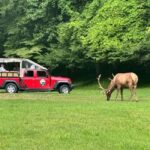 3.5-4 HR. Guided Safari Jeep Eco Waterfall Adventure - Starting Point at Scenic Tours and Adventures in Maggie Valley