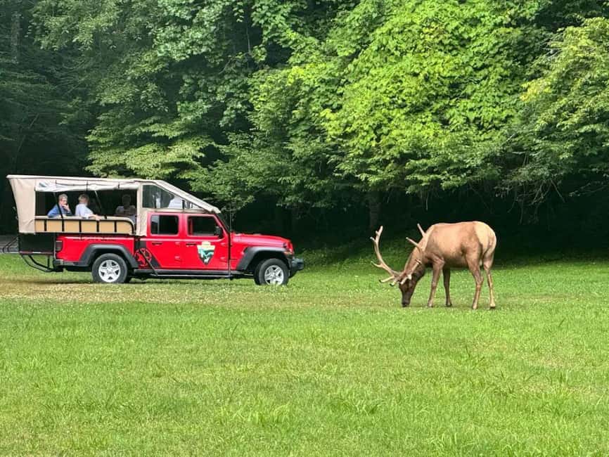 3.5-4 HR. Guided Safari Jeep Eco Waterfall Adventure - Starting Point at Scenic Tours and Adventures in Maggie Valley
