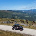 3.5h Buggy Tour  Arcos de Valdevez  Peneda Gerês - How to Meet and Prepare for Your Buggy Tour