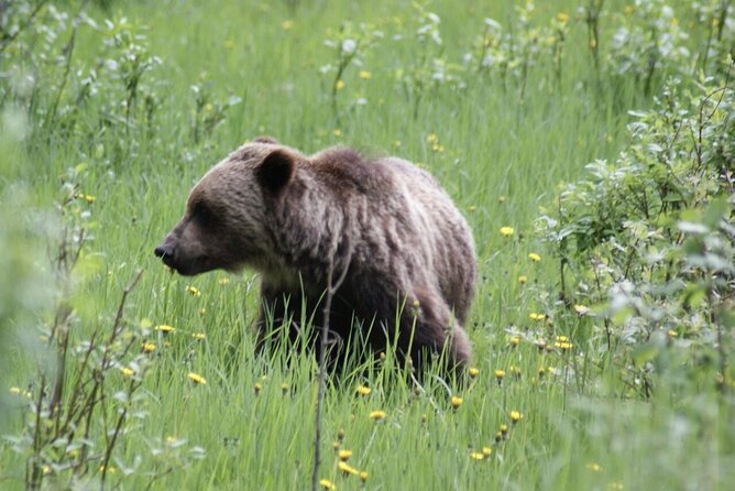 3 Day Banff National Park Johnston Canyon Voyage Car Tour - Day 2: Exploring Lake Louise and Moraine Lake