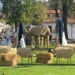 3-Day Private Guided Tour of Monarch Butterflies in Michoacan - Santa Clara del Cobre: Artisans and Copperworks