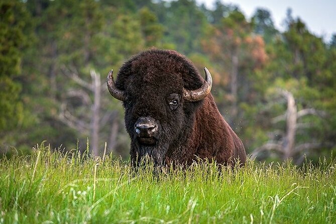 3-Day Tour from Calgary: Banff, Drumheller & Waterton - Starting Point and Schedule from Calgary’s Hyatt Regency