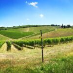 3-Day Tuscany Wine Tour Experience from Florence - Exploring San Gimignano and La Vernaccia Wineries
