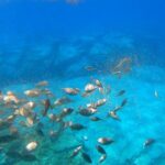 3-Hour Adventure With Hippo Submarine - Up Close with Lindos’ Iconic Acropolis from Sea Level