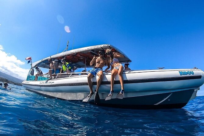 3 Hour Big Island Dolphin Watch Boat Tour, Snorkeling & BBQ Lunch - Marine Wildlife Watching: Dolphins, Turtles, and More