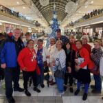 3 Hour December Holiday Lights Tour - Driving Through Uptown Park’s Holiday Lights