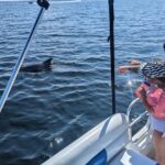 3 Hour Dolphin Private Guided Tour By A Marine Biologist - Discover the 3-Hour Private Dolphin Tour with a Marine Biologist in Destin